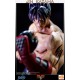 Tekken 3 Statue 1/4 Jin Kazama 48 cm